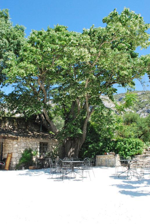 Bastide De La Lezardiere 퐁텐드보클루세 외부 사진